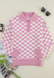 Anokhinaliza Checkered Collared Neck Long Sleeve Sweater