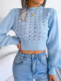 Anokhinaliza Openwork Mock Neck Long Sleeve Cropped Sweater