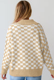 Anokhinaliza Checkered Collared Neck Long Sleeve Sweater