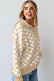 Anokhinaliza Checkered Collared Neck Long Sleeve Sweater