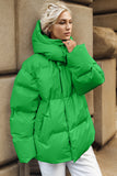 Anokhinaliza Pocketed Zip Up Hooded Puffer Jacket