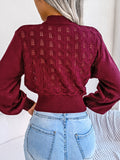 Anokhinaliza Openwork Mock Neck Long Sleeve Cropped Sweater