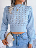 Anokhinaliza Openwork Mock Neck Long Sleeve Cropped Sweater