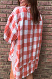 Anokhinaliza Plaid Collared Neck Long Sleeve Shirt Dress