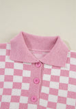 Anokhinaliza Checkered Collared Neck Long Sleeve Sweater