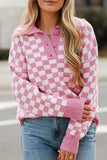 Anokhinaliza Checkered Collared Neck Long Sleeve Sweater