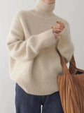 Anokhinaliza Turtleneck Dropped Shoulder Long Sleeve Sweater