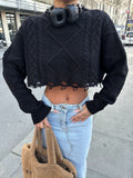 Anokhinaliza Cable-Knit Round Neck Long Sleeve Cropped Sweater