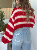 Anokhinaliza Striped Turtleneck Long Sleeve Cropped Sweater