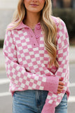 Anokhinaliza Checkered Collared Neck Long Sleeve Sweater