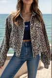 Anokhinaliza Leopard Button Down Long Sleeve Jacket