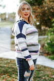 Anokhinaliza Plus Size Striped Long Sleeve Hooded Sweater