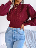 Anokhinaliza Openwork Mock Neck Long Sleeve Cropped Sweater