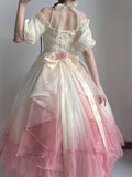 Anokhinaliza Dress Adult Princess Prom Gradually Varied Pink Mesh Skirt