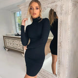 Anokhinaliza High-quality European and American style new high-neck long-sleeved sexy Slim package hip dresses women dress