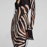 Anokhinaliza Transparent Zebra Print Striped Chiffon Dress Sexy Elegant V-neck Long Sleeve Maxi Dresses Summer Beach Y2K Outfits