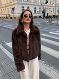 Anokhinaliza Fashion Solid Color Plush Women's Coat Casual Retro Turndown Collar Short Coats Women Winter Soft Comfortable Warm Outerwears