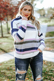 Anokhinaliza Plus Size Striped Long Sleeve Hooded Sweater