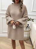 Anokhinaliza Devine Mock Neck Long Sleeve Mini Sweater Dress