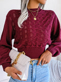 Anokhinaliza Openwork Mock Neck Long Sleeve Cropped Sweater