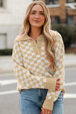 Anokhinaliza Checkered Collared Neck Long Sleeve Sweater