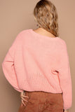 Anokhinaliza POL Crochet Flower Round Neck Dropped Shoulder Sweater