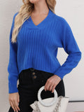 Anokhinaliza V-Neck Long Sleeve Sweater