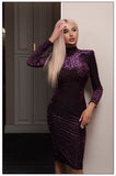 Anokhinaliza alt black girl going out classic style women edgy style church outfit brunch outfit cute spring outfits New Arrival Purple Suede Leopard High Neck Long Sleeve Medium Length Dress All Free Shipping