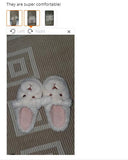 Anokhinaliza Cute Animal Slipper For Women Girls Fashion Kawaii Fluffy Winter Warm Slippers Woman Cartoon Frog House Slippers Funny Shoes