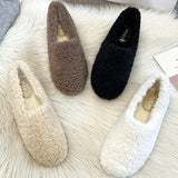 Anokhinaliza Winter Luxury Lambwool Moccasins Femme Cotton Shoes New Women Warm Plush Loafers Curly Sheep Fur Flats Woman Shoes Slippers